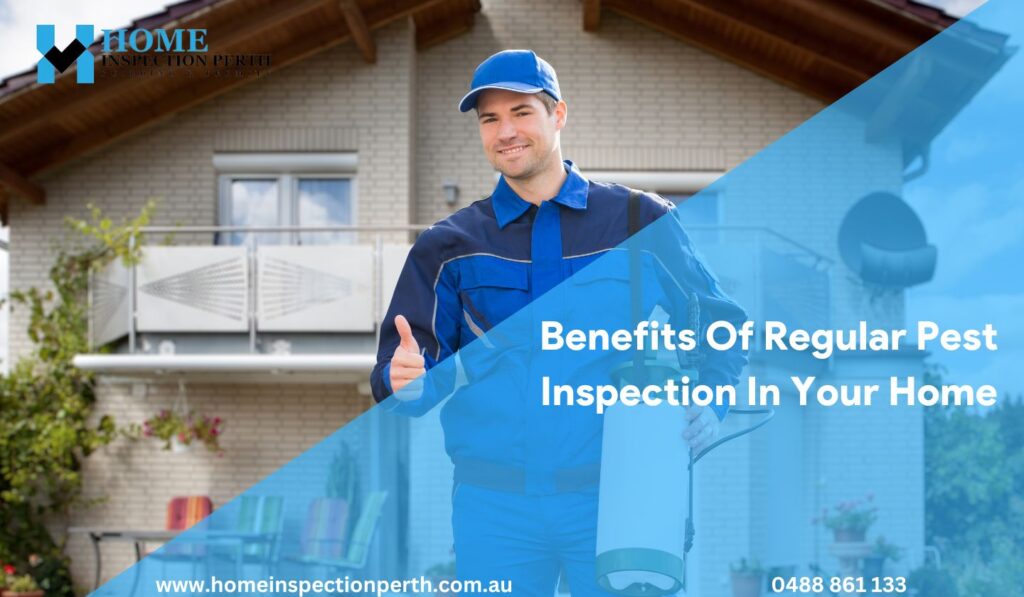 Benefits Of Regular Pest Inspection In Your Home