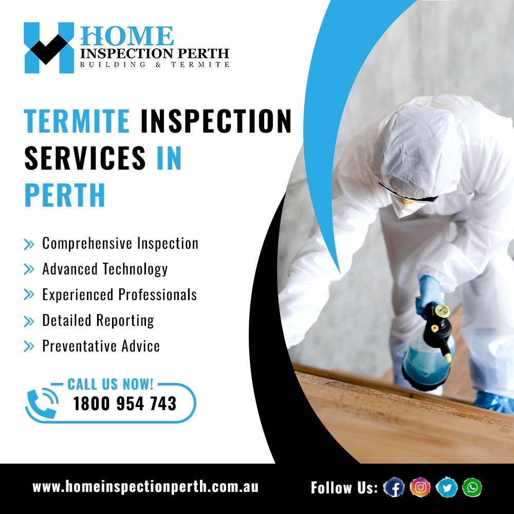 How Termite Inspection Affects My Property Value in WA