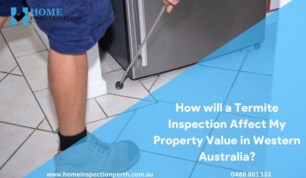 How will a Termite Inspection Affect My Property Value in Western Australia