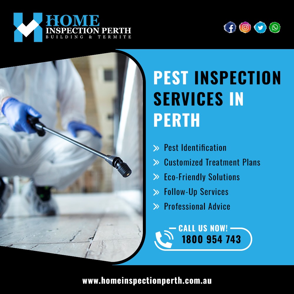 Why Choose Local Experts for Pest Inspections in Perth