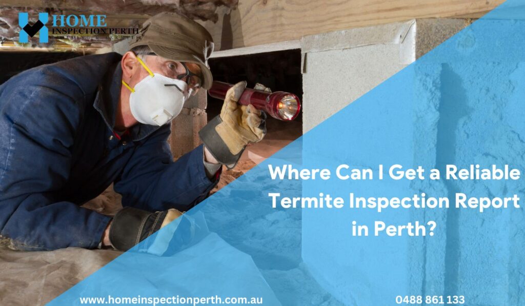 Termite Inspection Report in Perth