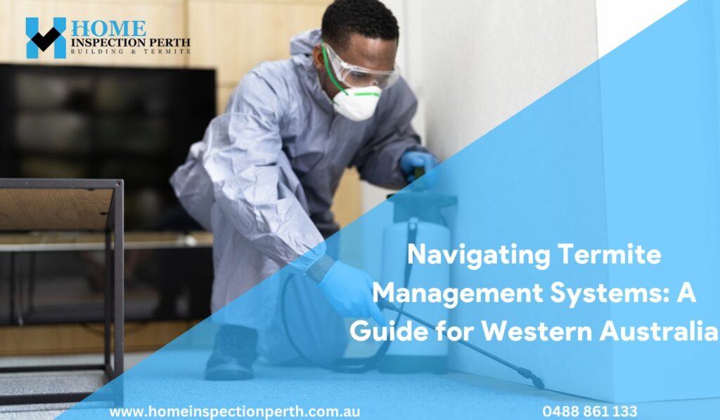 Navigating Termite Management Systems A Guide for Western Australia